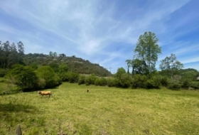 Bustriguado 6580&nbsp;м²