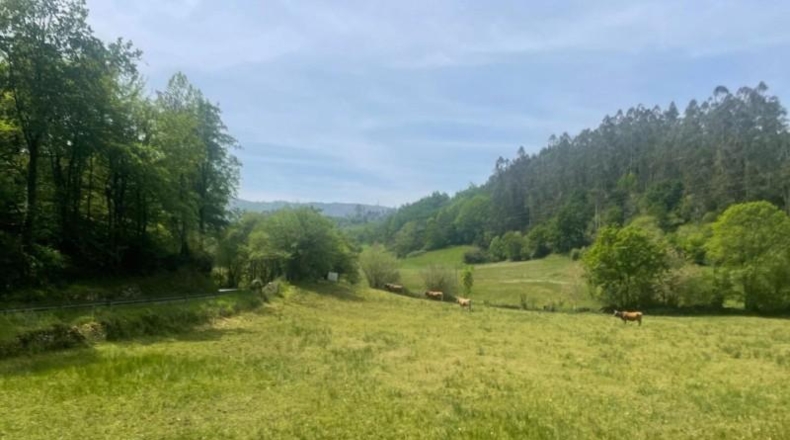 Cantàbria - Bustriguado - 6580m2