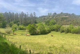 Bustriguado 6580&nbsp;м²