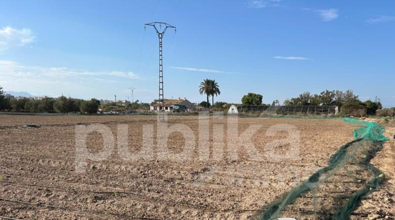 Alicante - Elche - 8023m2