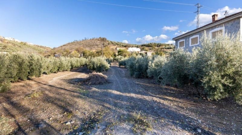 Granada - Iznalloz - 1658m2