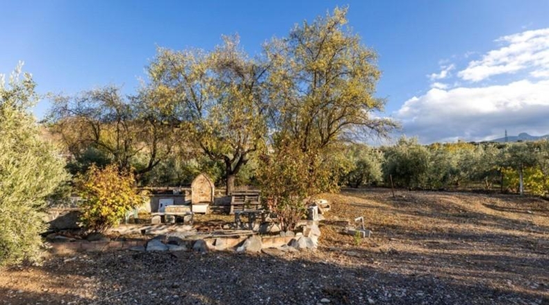 Granada - Iznalloz - 1658m2