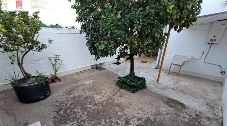 Badajoz - Puebla de la Calzada - 156m2