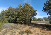 Terreno no urbanizable en venta en la España, Pastrana, ref: TR359627 foto