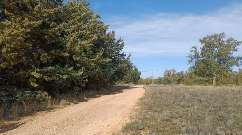 Guadalajara - Pastrana - 25000m2