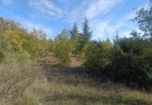 Terreno no urbanizable en venta en la España, Pastrana, ref: TR359627 foto