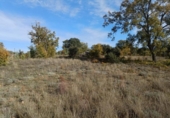 Terreno no urbanizable en venta en la España, Pastrana, ref: TR359627 foto