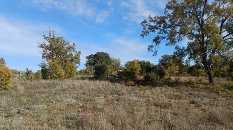 Guadalajara - Pastrana - 25000m2