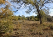 Terreno no urbanizable en venta en la España, Pastrana, ref: TR359627 foto