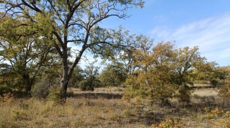 Guadalajara - Pastrana - 25000m2