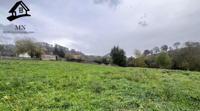 Cantabria - Villafufre - 4689m2