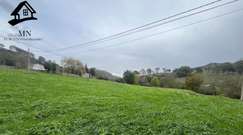 Cantabria - Villafufre - 4689m2