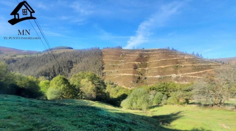 Cantabria - Сан-Педро-дель-Ромераль - 7513m2