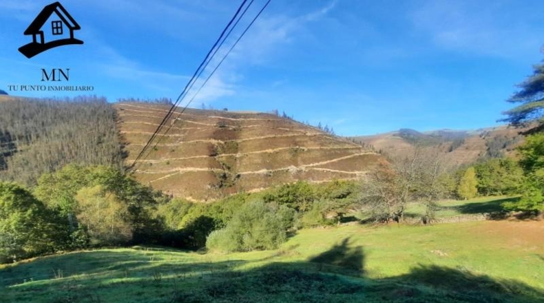 Cantabria - Сан-Педро-дель-Ромераль - 7513m2