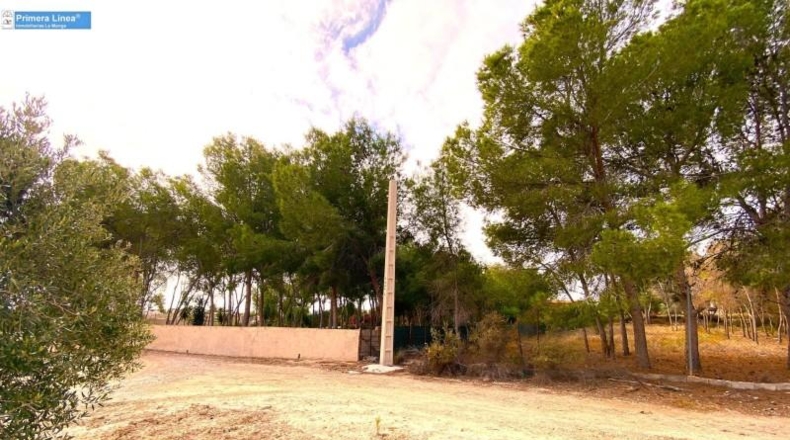 Murcia - Murcia - 2795m2