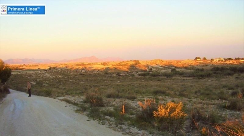 Murcia - Murcia - 2795m2