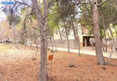 Parcela urbanizable en venta en la España, Murcia, ref: TR354073 foto