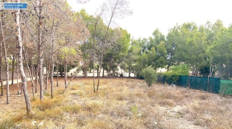Murcia - Murcia - 2795m2