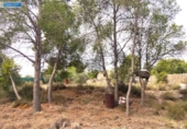 Parcela urbanizable en venta en la España, Murcia, ref: TR354073 foto