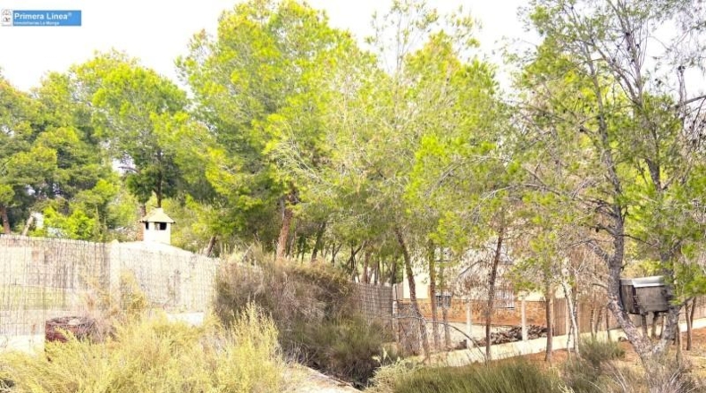 Murcia - Murcia - 2795m2