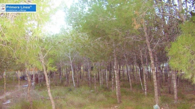 Murcia - Murcia - 2795m2