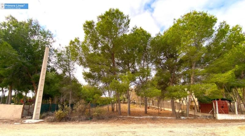 Murcia - Murcia - 2795m2