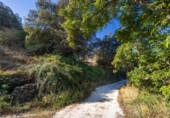 Country house with land for sale on España, Montefrío, ref: TR349475 photo