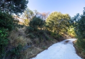 Country house with land for sale on España, Montefrío, ref: TR349475 photo