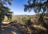 Country house with land for sale on España, Montefrío, ref: TR349475 photo