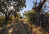 Country house with land for sale on España, Montefrío, ref: TR349475 photo