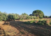 Sòl urbà en venda a la España, Badajoz, ref.: TR352975 foto