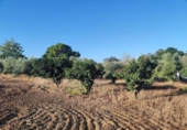 Sòl urbà en venda a la España, Badajoz, ref.: TR352975 foto