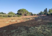 Sòl urbà en venda a la España, Badajoz, ref.: TR352975 foto