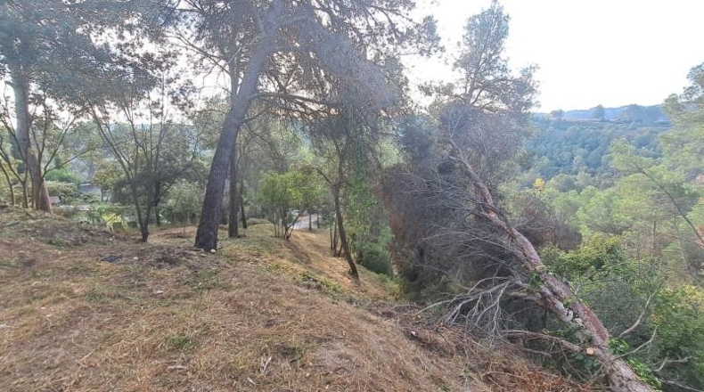 Barcelona - Esparreguera - 1469m2