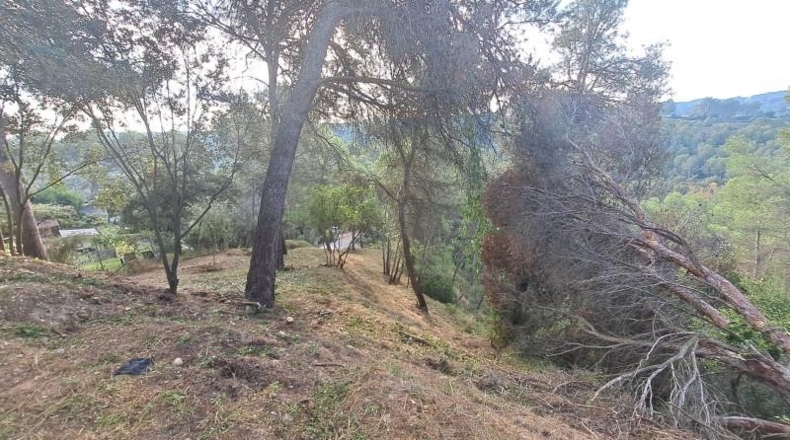 Barcelona - Esparreguera - 1469m2