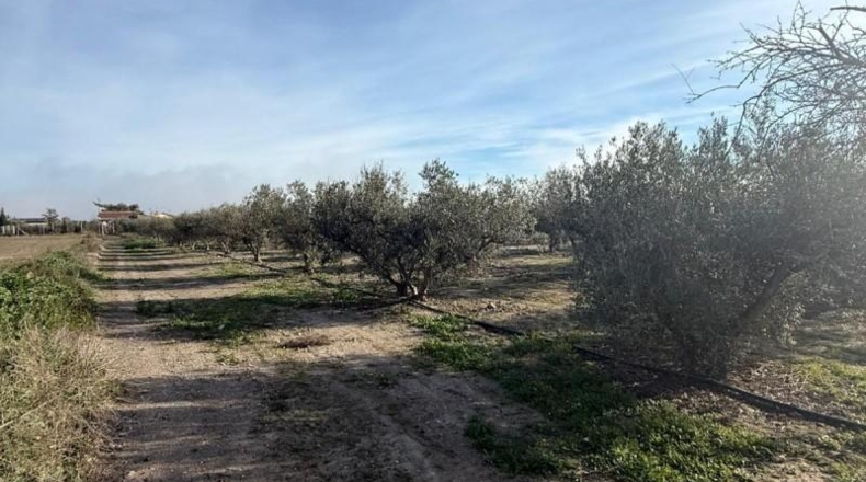 Murcia - Puerto Lumbreras - 7000m2