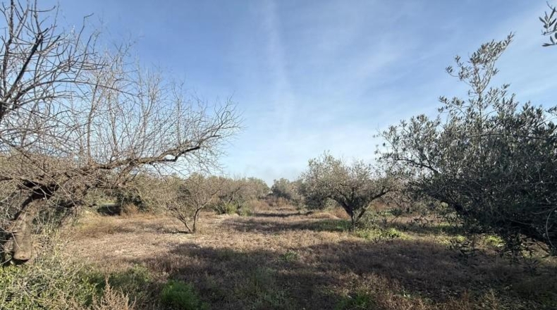Murcia - Puerto Lumbreras - 7000m2
