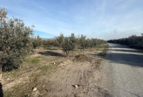 Puerto Lumbreras 7000&nbsp;m² 