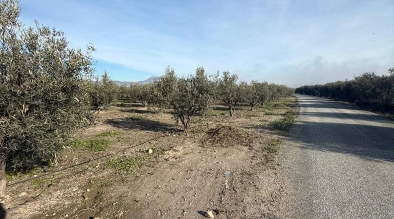 Murcia - Puerto Lumbreras - 7000m2