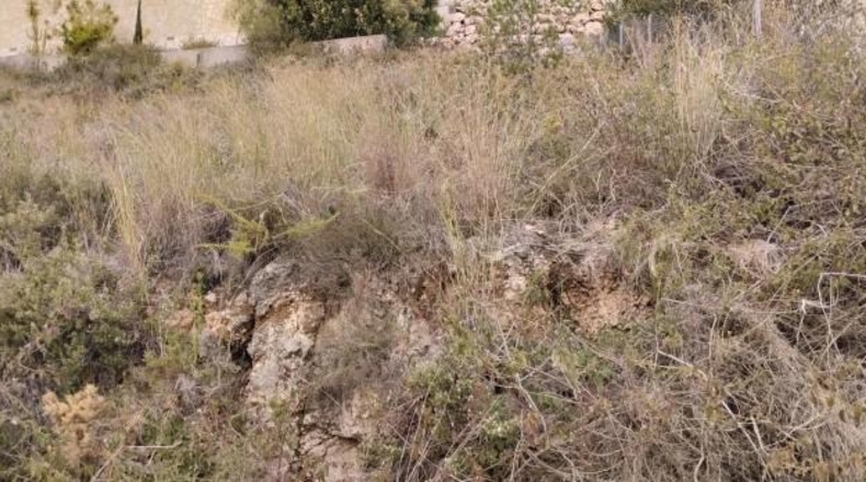 Alicante - Pego - 921m2