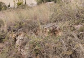 Sòl urbà en venda a la España, Pego, ref.: TR373166 foto