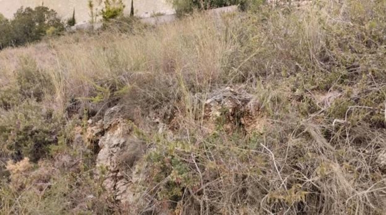 Alicante - Pego - 921m2