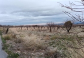 Terreno no urbanizable en venta en la España, Oria, ref: TR379270 foto