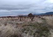 Terreno no urbanizable en venta en la España, Oria, ref: TR379270 foto