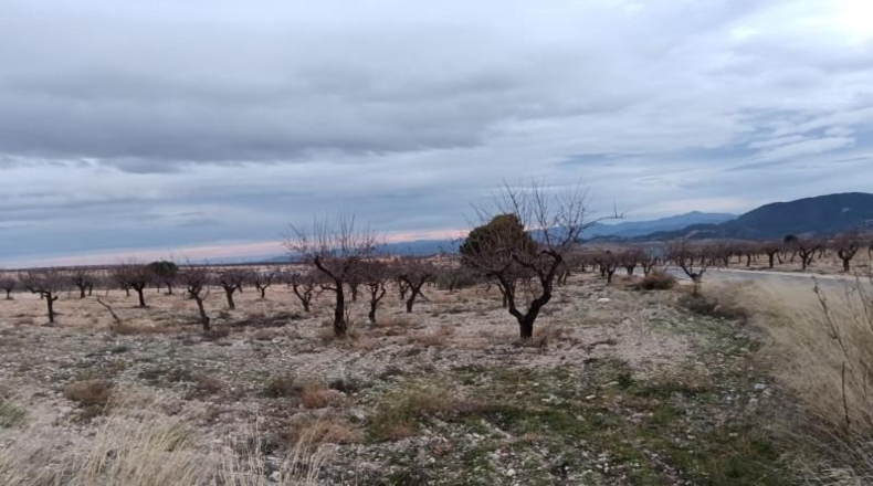Almeria - Oria - 7627m2