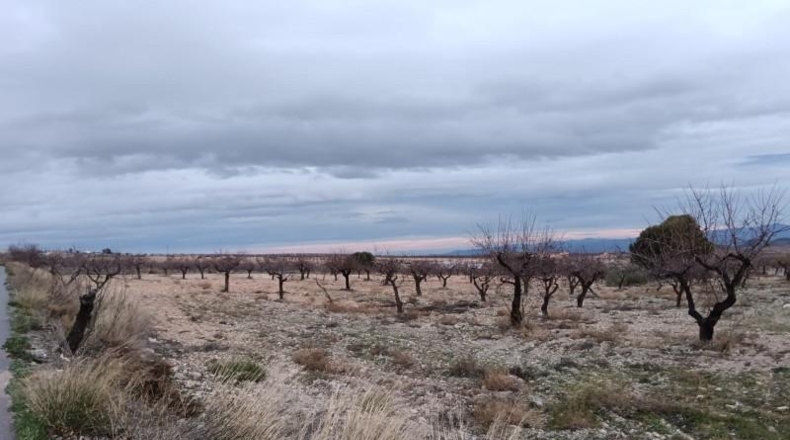 Almeria - Oria - 7627m2