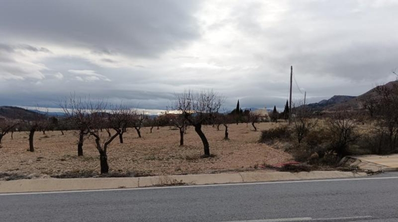 Almeria - Oria - 7627m2