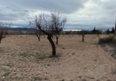 Terreno no urbanizable en venta en la España, Oria, ref: TR379270 foto
