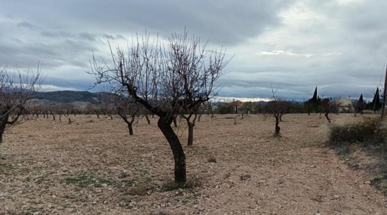 Almeria - Oria - 7627m2
