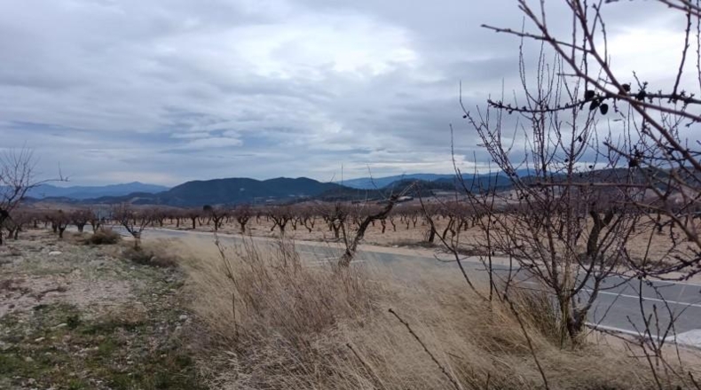 Almeria - Oria - 7627m2